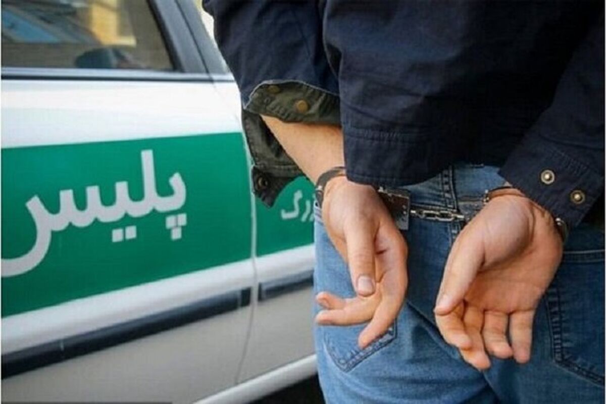 سارقان گردنبند بازیگر مشهور دستگیر شدند | ماجرای زورگیری هولناک از علیرام نورایی