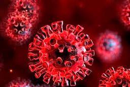 قربانیان کرونا هنوز ادامه دارد