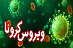 مچ بندی که ضدعفونی می‌کند!+جزئیات