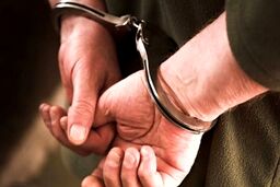 فیلم هالیوودی از طولانی‌ترین تعقیب و گریز  پلیس در آمریکا