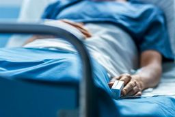 کتک خوردن پدرشوهر به دست برادر عروس تا سرحد مرگ | پیرمرد لال و فلج شد