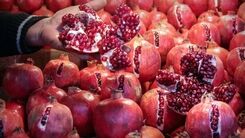 راهکارهایی برای نابودی لکه انار و هندوانه 