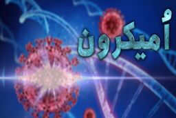 نگرانی وزیر کشور از شیوع سویه جدید اُمیکرون