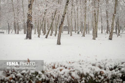 برف یک متری در سنقر +فیلم