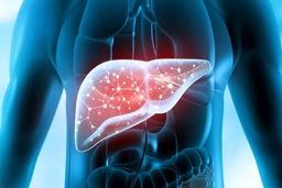 با این غذا ها درمان کبد چرب را جلو بیاندازید | لیستی از غذاهای مفید برای کبد چرب