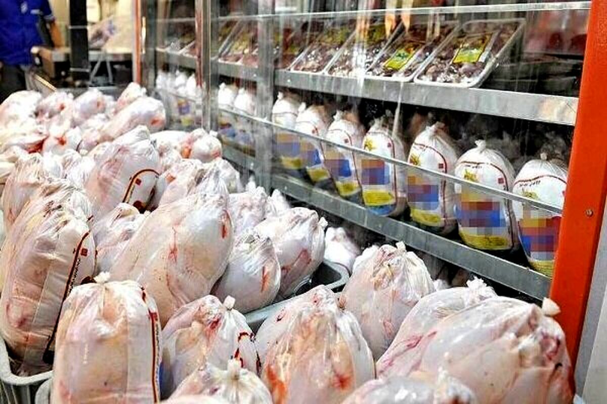 جدیدترین قیمت مرغ در بازار | هر کیلو مرغ کامل تازه چقدر است؟