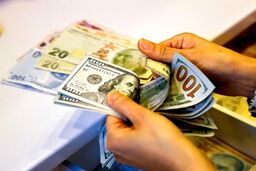 قیمت دلار سرگیجه گرفت | قیمت دلار امروز یکشنبه ۲۹ خرداد