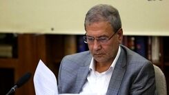 سخنگوی دولت: در تله رسانه های بدخواه وطن نیفتیم