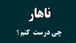 ناهار چی بپزم؟ | 30 مدل غذای خوشمزه و سریع برای ناهار