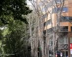 پیاده‌روی سفیران اروپایی در خیابان ولیعصر + عکس