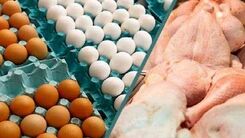جدیدترین قیمت مرغ و تخم‌مرغ در بازار | سینه مرغ کیلویی چند شد ؟
