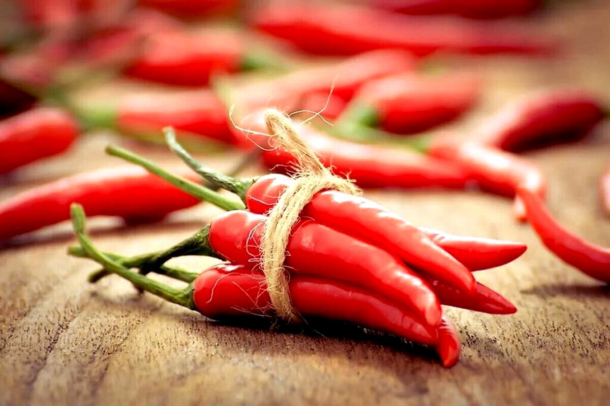 ادویه‌ای ضد سکته قلبی را بشناسید | کاهش خطر مرگ و میر سکته قلبی با چیلی
