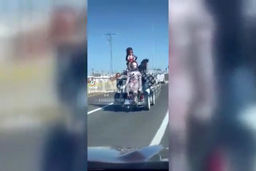  جولان یک خودروی وحشتناک وسط اتوبان