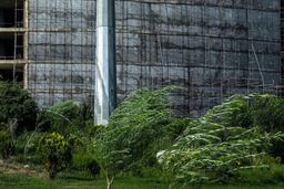 خیزش گردوخاک از عصر امروز در تهران | هشدار هواشناسی را جدی بگیرید