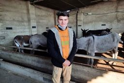 ماجرای تولید پنیر کیلویی۲۵ میلیون چیست؟