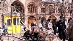 سقوط درخت تنومند در بازار تبریز/ یک نفر مصدوم شد +عکس