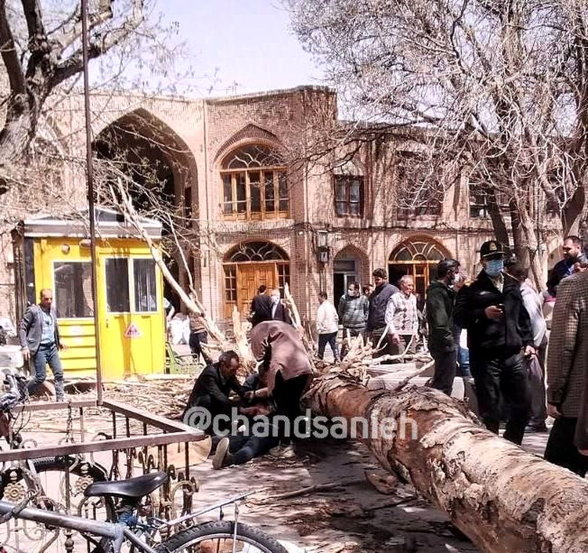 سقوط درخت تنومند در بازار تبریز/ یک نفر مصدوم شد +عکس