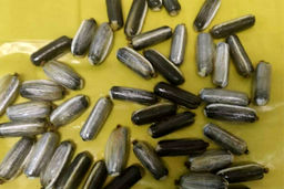 جاساز حرفه ای نیم کیلو تریاک در یک جفت کفش ! + عکس