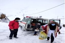 ماجرای تولد زیر صفردرجه!