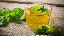 شکم و پهلوتون را تا عید آب کنید | معجزه این ۵ دمنوش برای لاغری شکم و پهلو  + روش تهیه