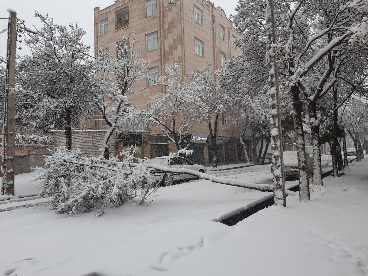 بارش برف بجنوردی‌ها را غافلگیر کرد +عکس