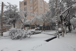 برف و باران شدید در راه تهران | تهرانی ها خودشان را برای سرما آماده کنند