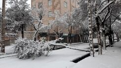 هشدار جدی هواشناسی | بارش برف و باران در ۱۸ استان از فردا 