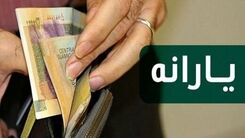 از سورپرایز یارانه ای جدید دولت چه خبر ؟ | چه افرادی یارانه نقدی ۲ تا ۳ میلیون تومانی دریافت می کنند؟