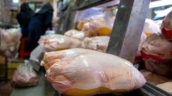 جدیدترین قیمت مرغ بعد از اصلاح یارانه ها