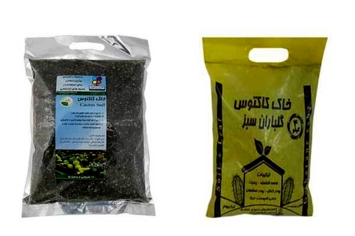 تاثیر خاک گلدان در گیاهان آپارتمانی