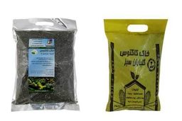 تاثیر خاک گلدان در گیاهان آپارتمانی