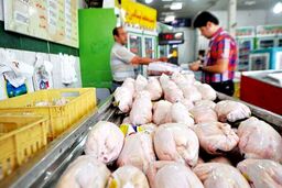 قیمت مرغ امروز ۲۳ مرداد چقدر شد ؟ +جدول
