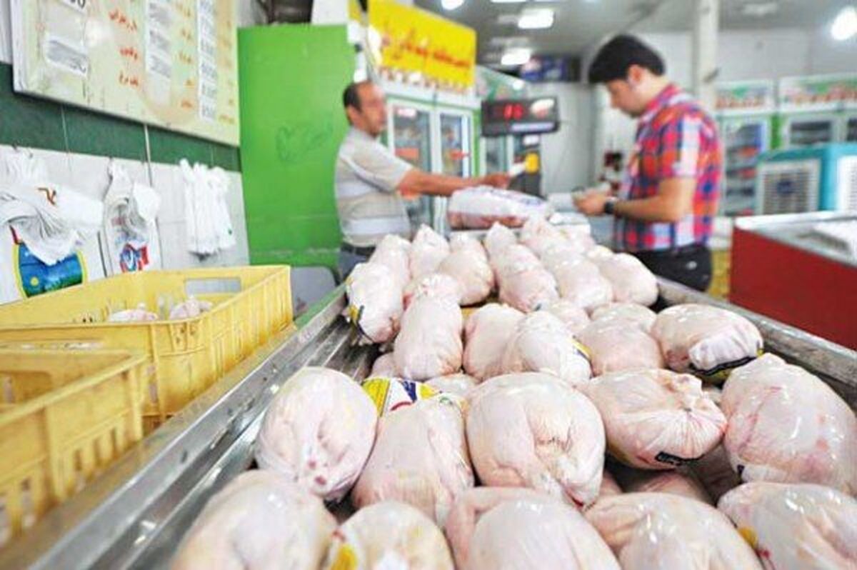 قیمت مرغ امروز ۲۳ مرداد چقدر شد ؟ +جدول