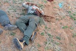  عاملان شهادت دو محیط‌بان زنجانی دستگیر شدند!+فیلم لحظه دستگیری 