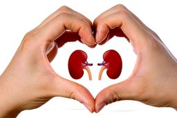 علائم سنگ کلیه را بشناسید!