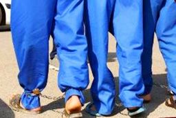 انهدام باند آدم‌ربایی در شهرری | آزار و اذیت یک مرد توسط ۴ نفر در چشمه علی ری