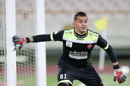 اخبار پرسپولیس: حامد لک عذرخواهی کرد؟