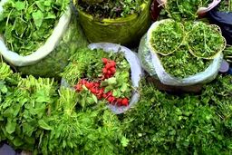 افزایش بی سابقه قیمت سبزی در بازار