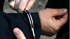 بازگرداندن متهم کلاهبرداری ۲۰ هزار میلیاردی به کشور+فیلم