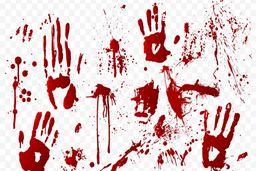 خواب شبانه باعث قتل شد!