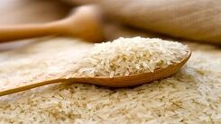  خبر غافلگیر کننده در مورد قیمت برنج درجه یک در شمال کشور | قیمت برنج تا چند درصد کاهش یافته است؟