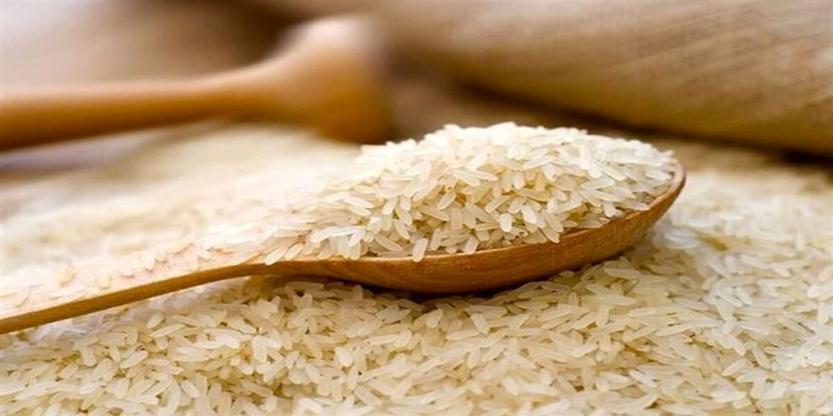 قیمت برنج خارجی در بازار | کیسه ۱۰ کیلویی برنج پاکستانی و هندی امروز چند؟