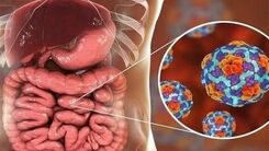 شیوع اولین بار وبا در بعضی استان‌ها | هشدار به زائران عتبات