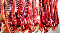 قیمت گوشت قرمز امروز چقدر افزایش یافت؟