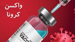 مرگ بر اثر تزریق واکسن کرونای فایزر / جزئیات