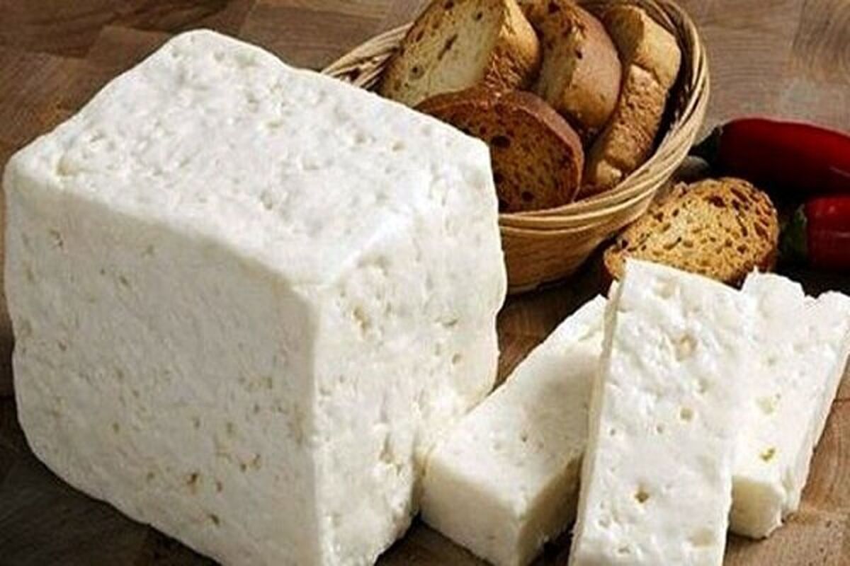 پنیر هم لاکچری شد| ۴۰۰ گرم پنیر گوسفندی ۱۰۱ هزار تومان