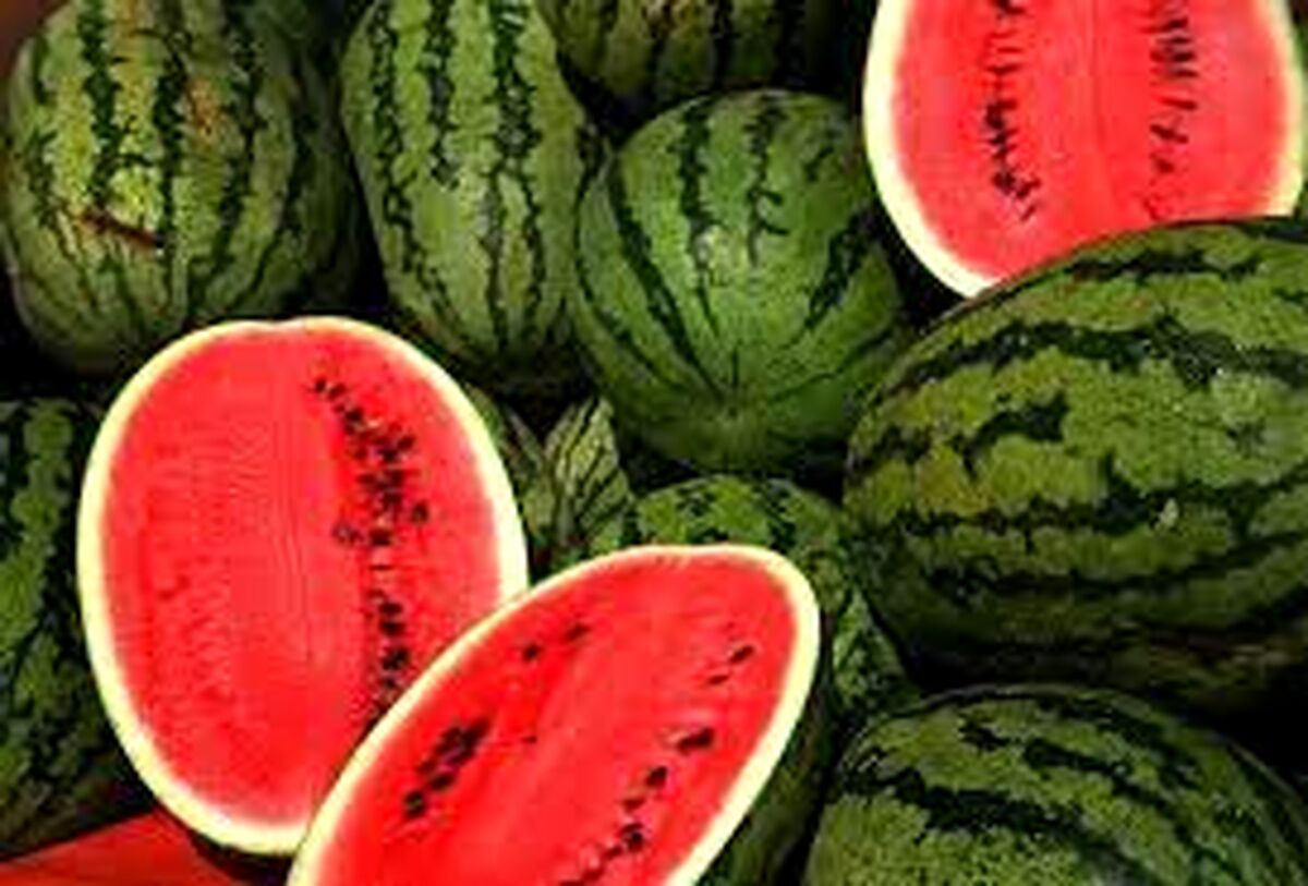 قیمت هر کیلو هندوانه شب یلدا چقدر است؟