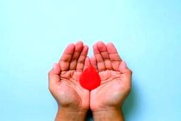 این گیاهان درمان طبیعی کم خونی هستند | درمان فقر آهن با طب سنتی