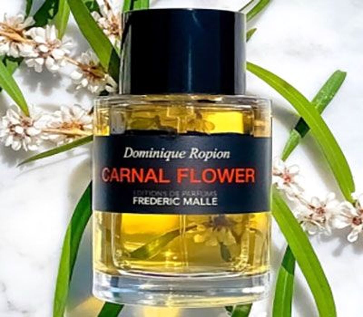 سایت rayeheeh.com عطر مورد علاقه سیاستمداران مشهور را لو داد + عکس