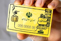 ۲۲۰۰۰۰ تومان عیدی دولت برای خانوارها واریز شد | چگونه مبلغ کالابرگ را استعلام کنیم؟